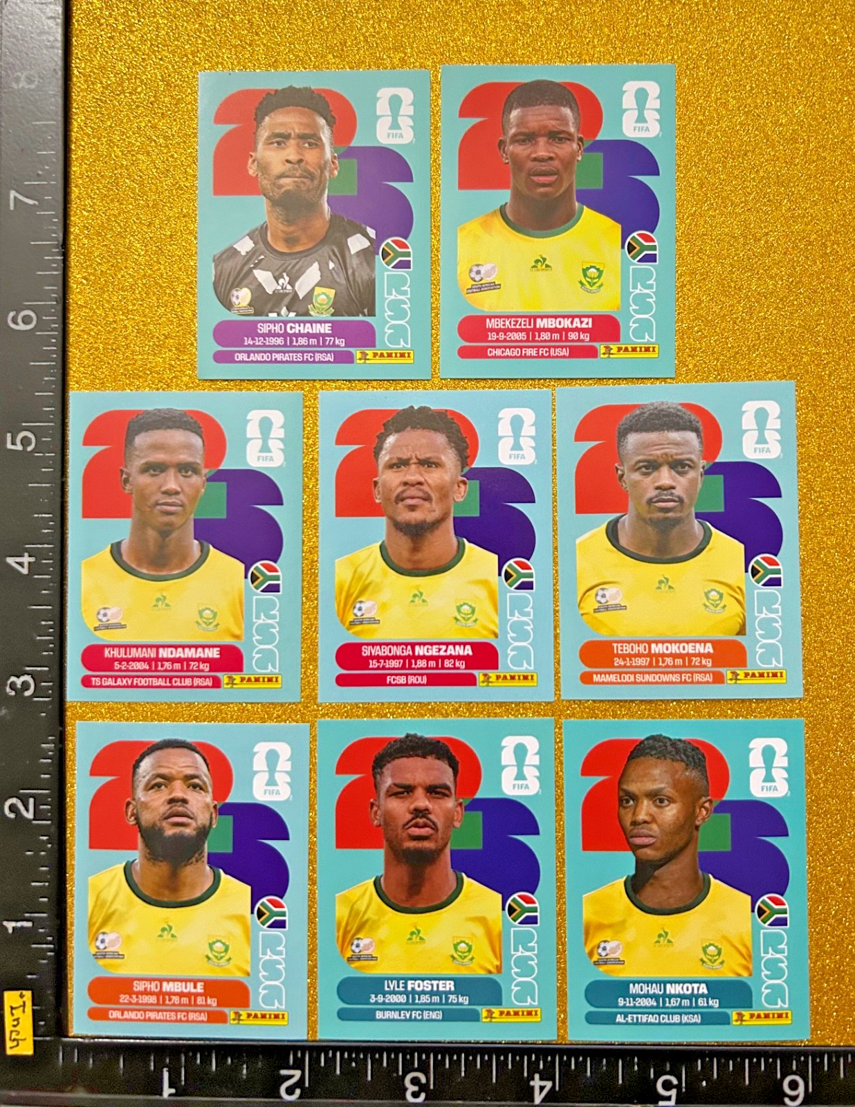 PANINI STICKERS WORLD CUP 2026 USA-MEX-CAN, SET OF 8 BLUE, SOUTH AFRICA TEAM