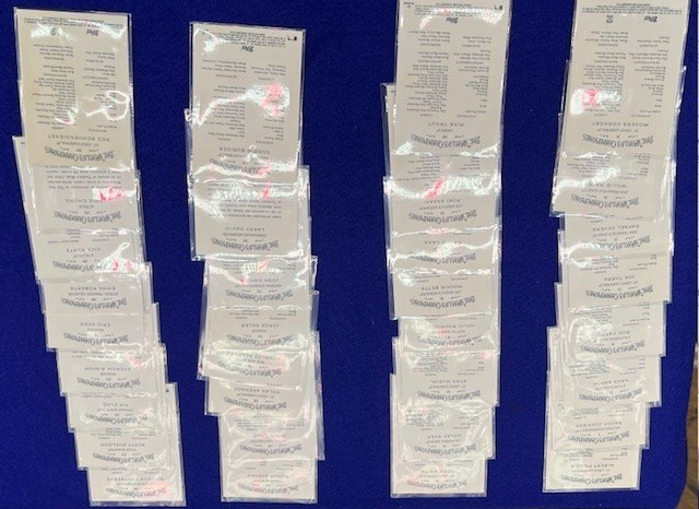 2025 Allen & Ginter Silver Foil 25 Pcs. Lot – Trout, Kurtz, Cruz, Sasaki