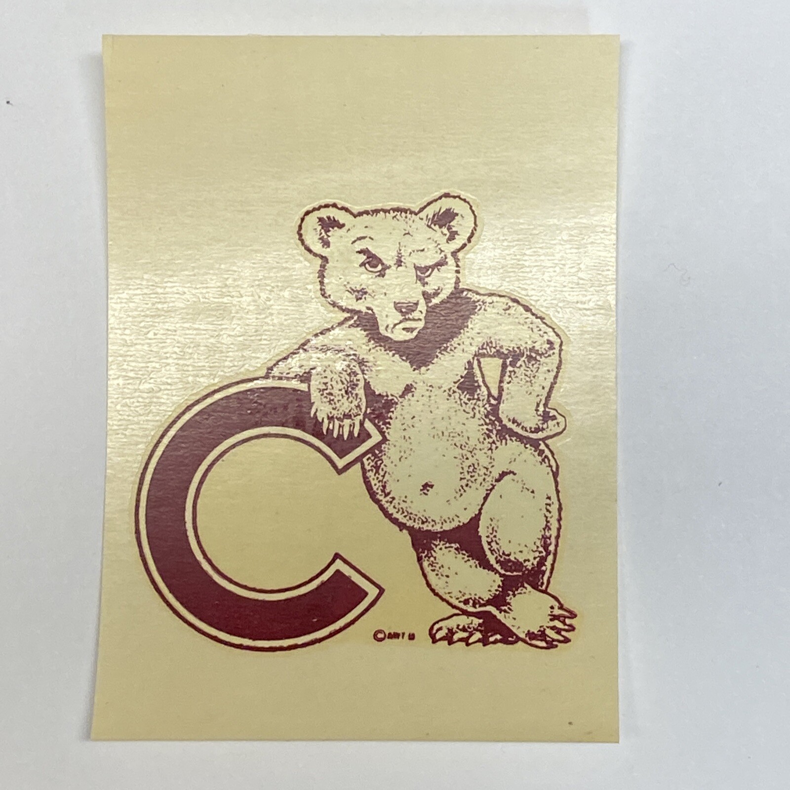 Vintage 1950s Cornell Big Red Bears University Decal 2.5×3.5 In