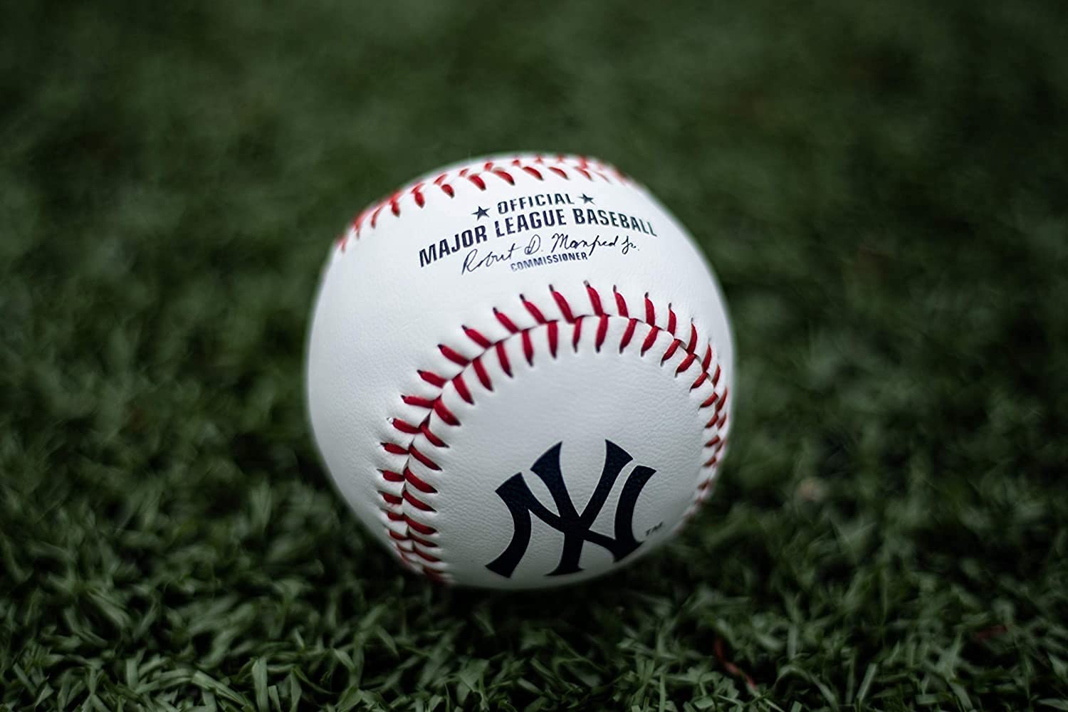 2026 MLB Baseball with Team Logo | All 30 MLB Teams Available