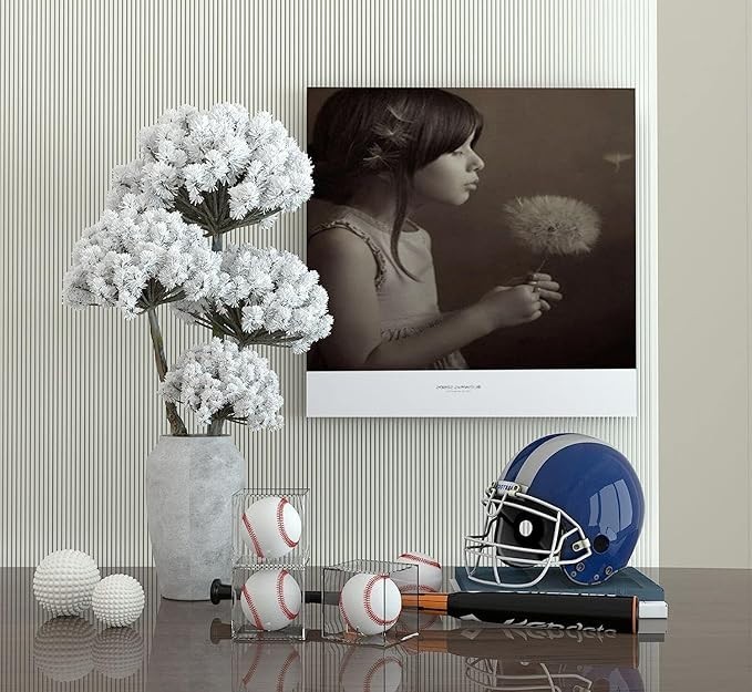 Acrylic Baseball Display Case UV Protected Clear Cube Holder for Official Ball