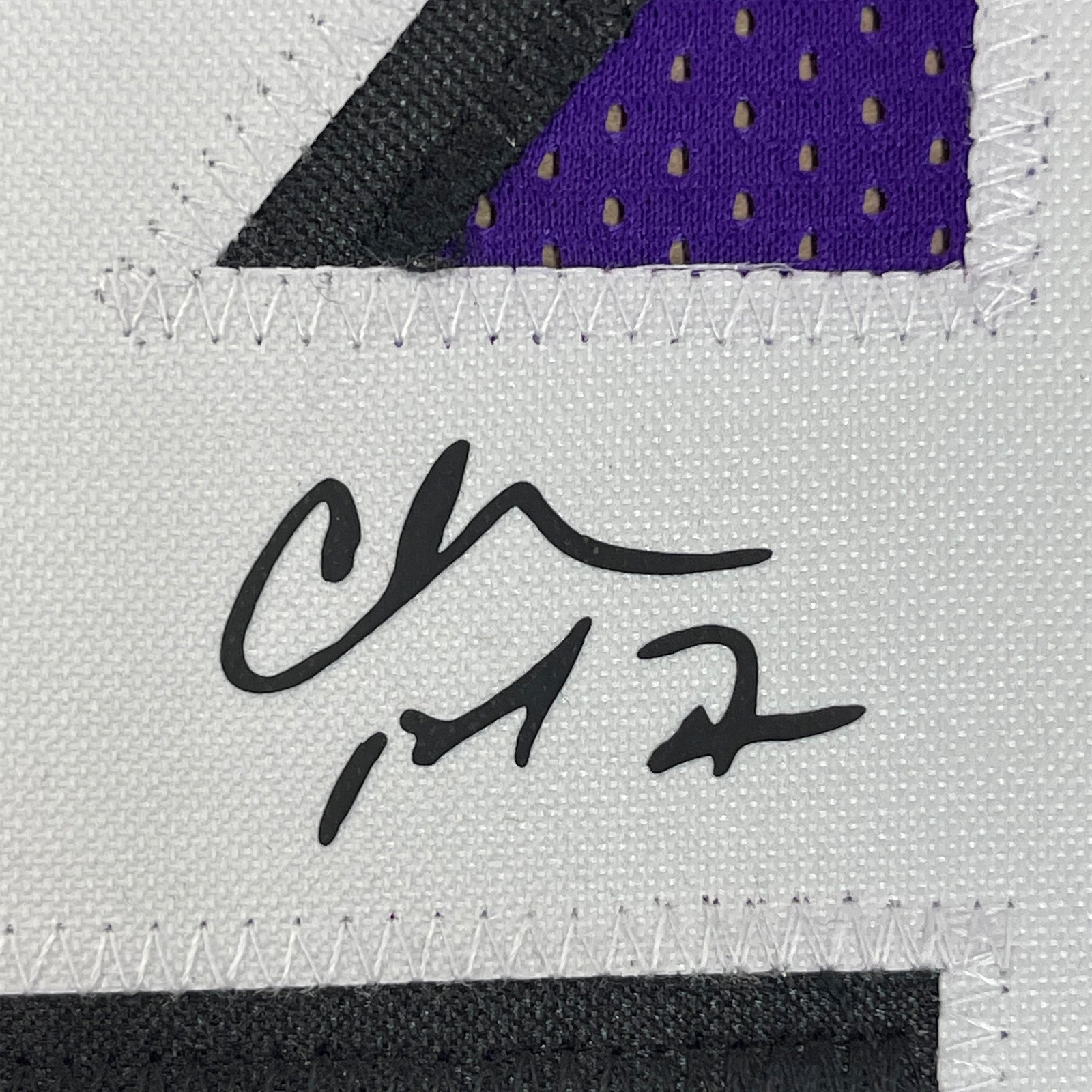 Framed Facsimile Autographed Charles Barkley 33×42 Purple Reprint Auto Jersey