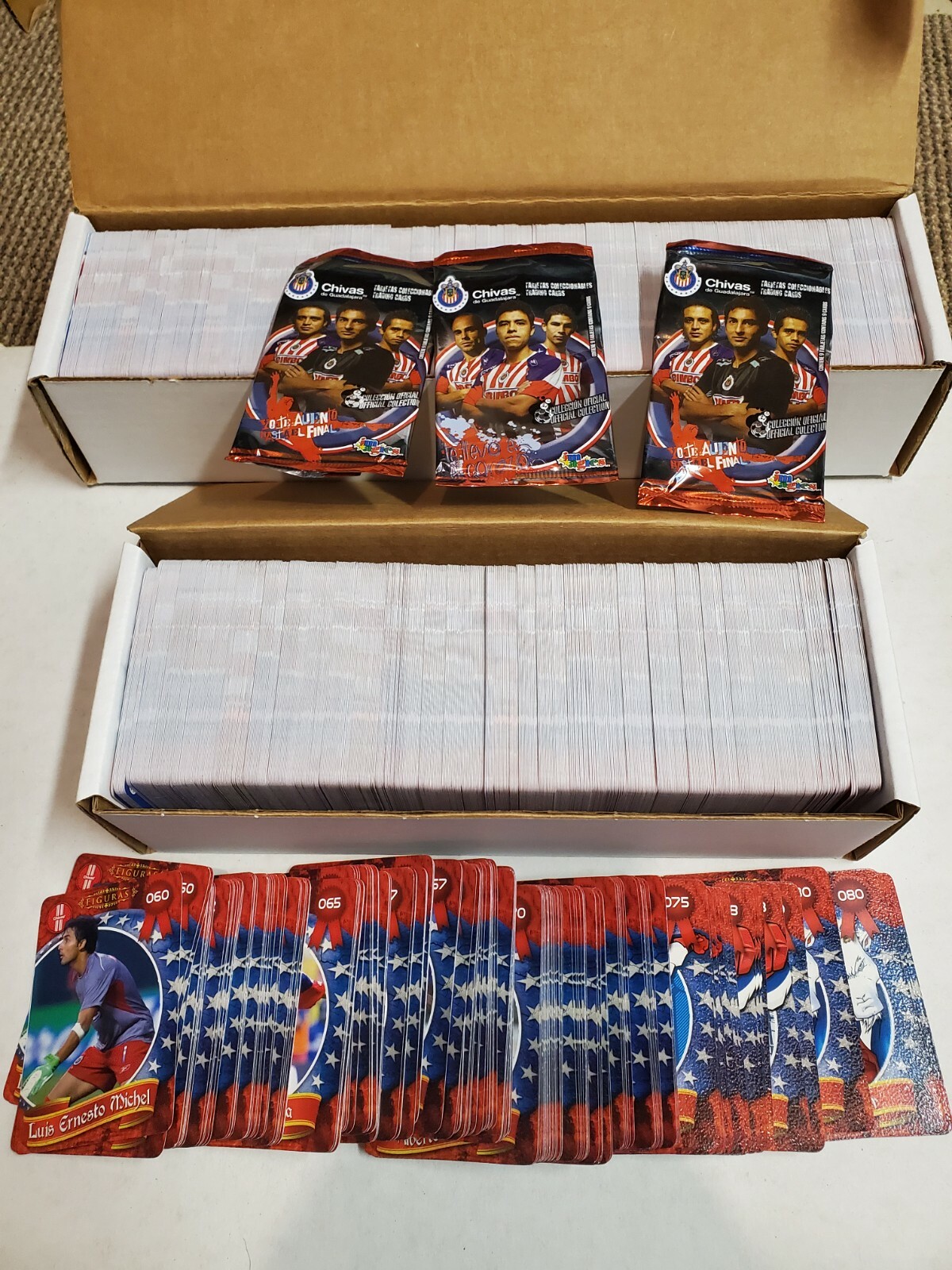 2009-2010 Imagics Futbol Mexicano – Chivas Single Cards