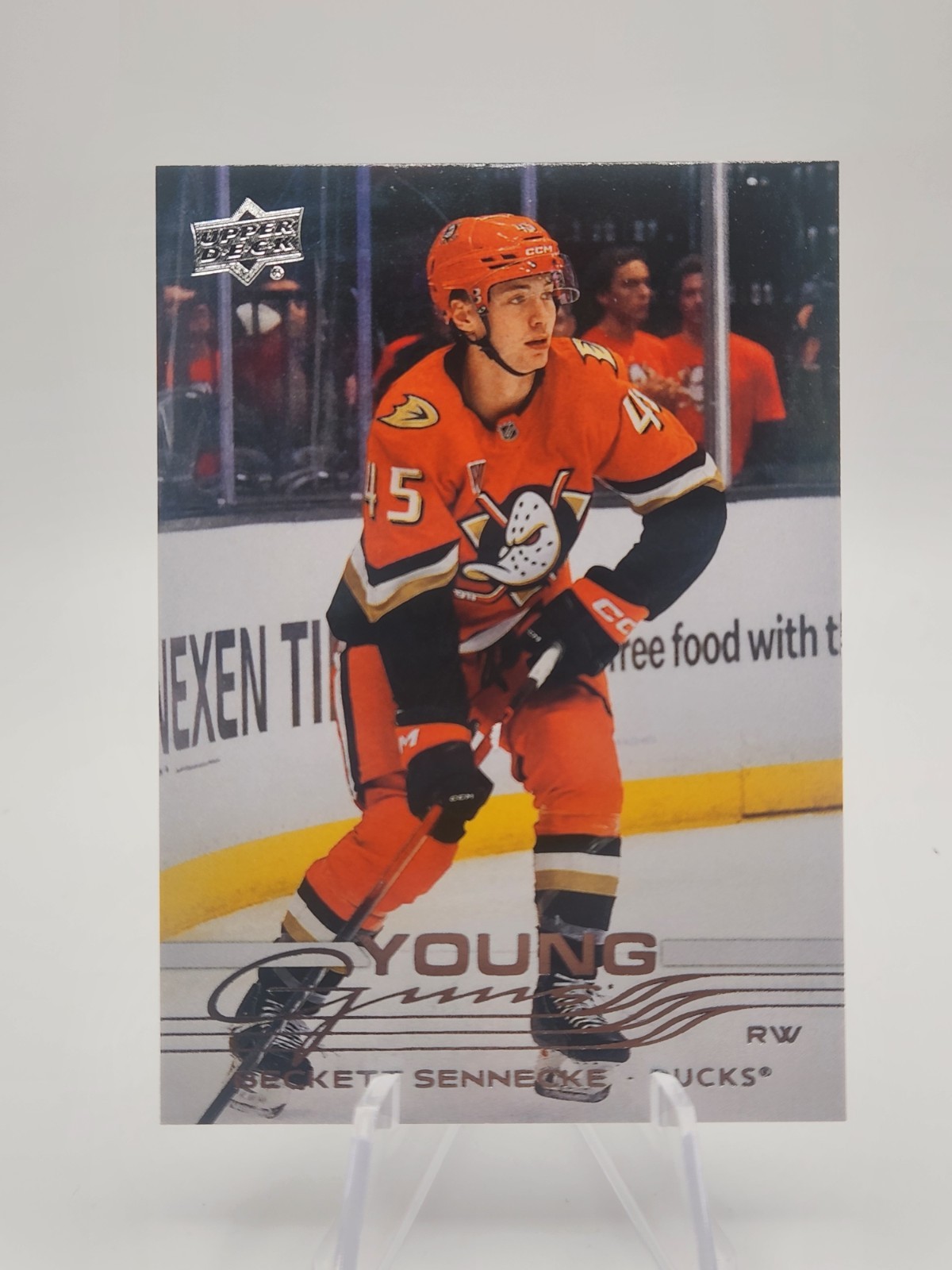 2025-26 UD Extended Series – Beckett Sennecke Young Guns Rookie RC #701