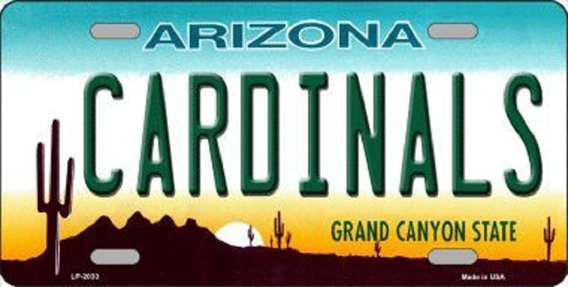NFL METAL NOVELTY LICENSE PLATE FOOTBALL STATE BACKGROUND ALL TEAMS