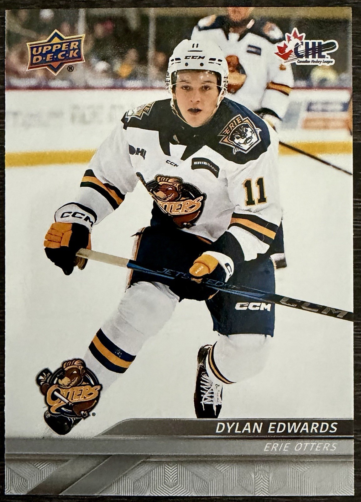 Dylan Edwards Rookie 2024-25 Upper Deck CHL #13 (RC) Quinnipiac University