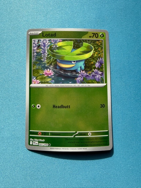 Pokémon Lotad Base Card 003/006 | Near Mint | Low Print Run Set