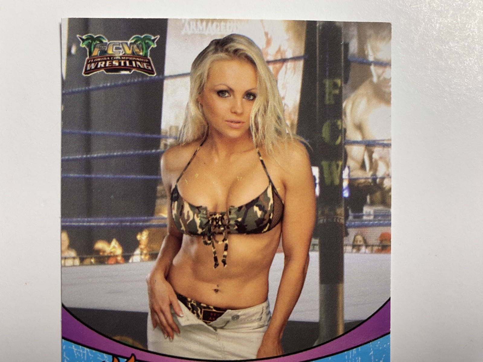 RAQUEL DIAZ (SHAUL GUERRERO) & AKSANA & CAYLEE TURNER : 2011 FCW Cards = WWE