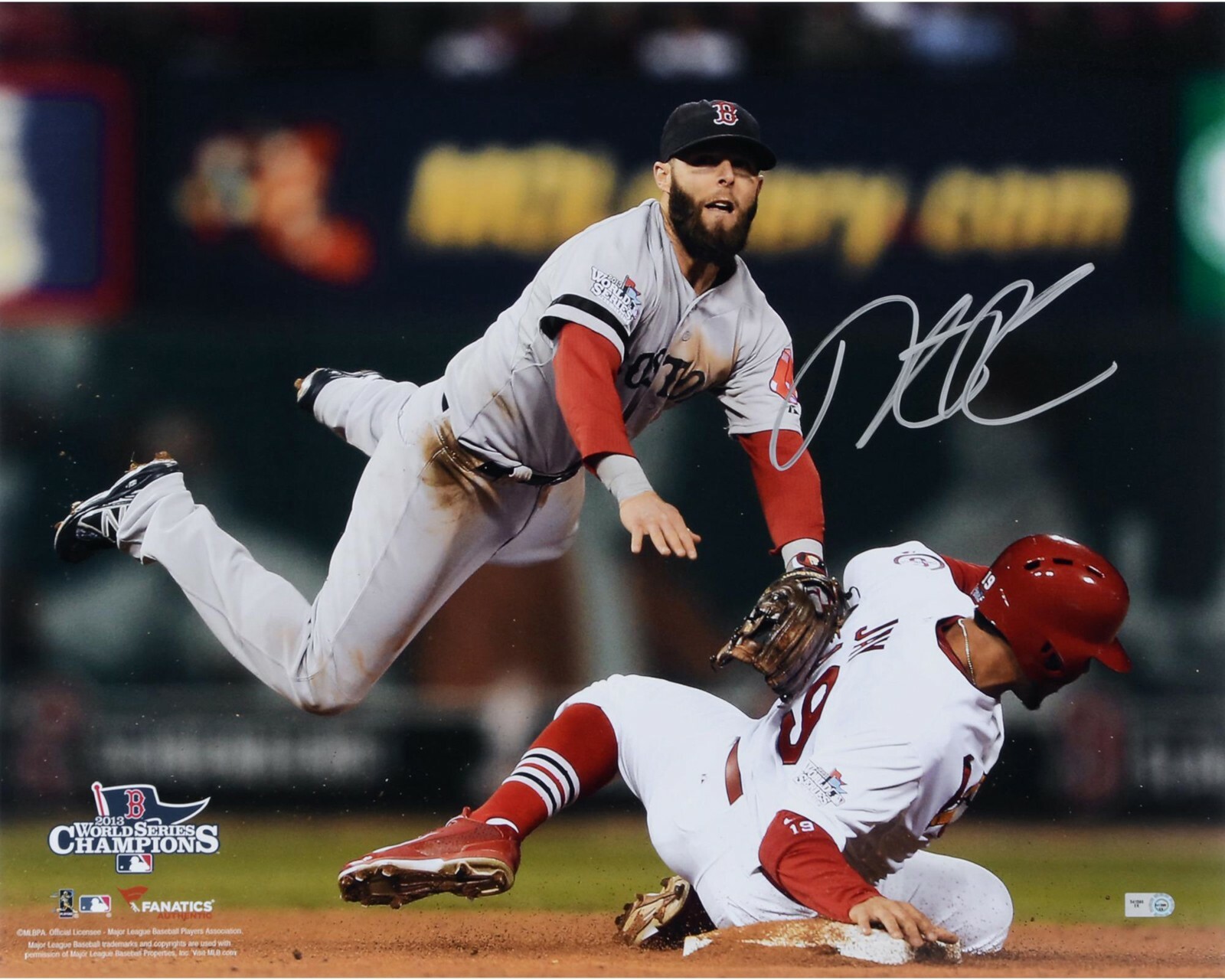 Dustin Pedroia Reproduction signed archival quality photo