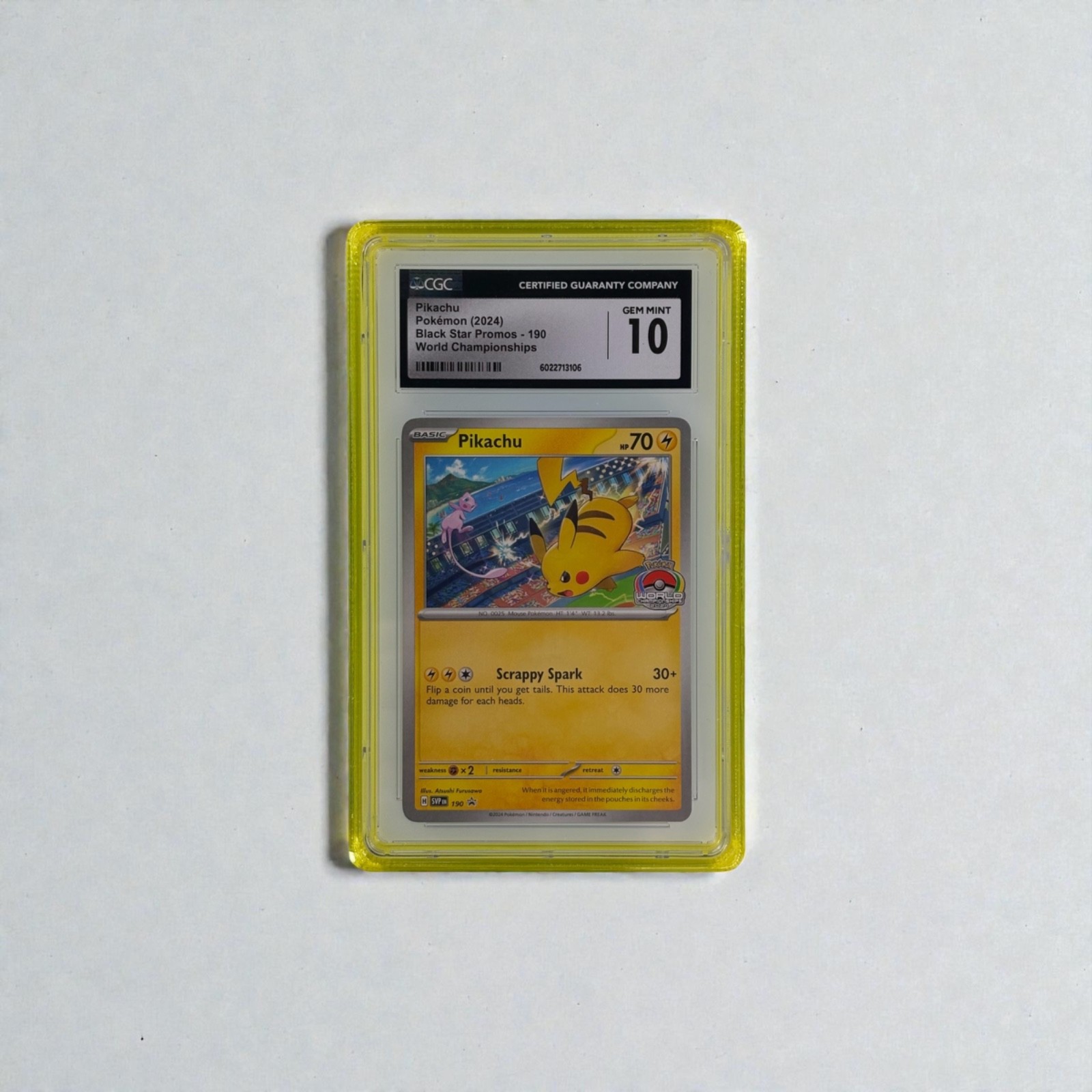 CGC Slab Guard