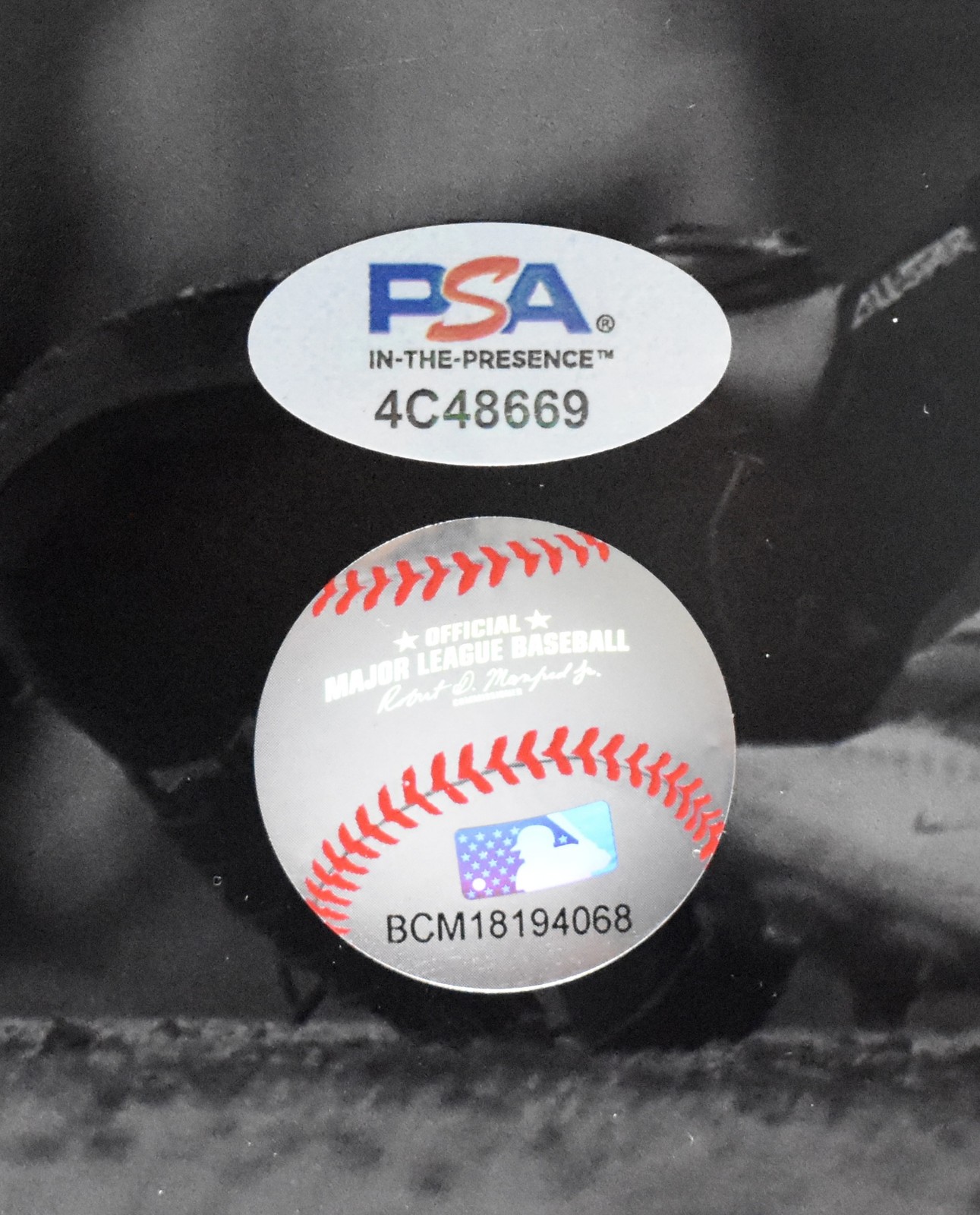 Kyle Schwarber Signed/Auto 16×20 Photo Philadelphia Phillies PSA/DNA 209991