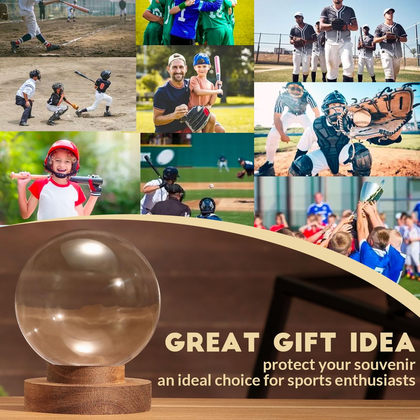 Baseball Display Case, Round Clear Ball Holder with Wooden Base, Autograph Ba…