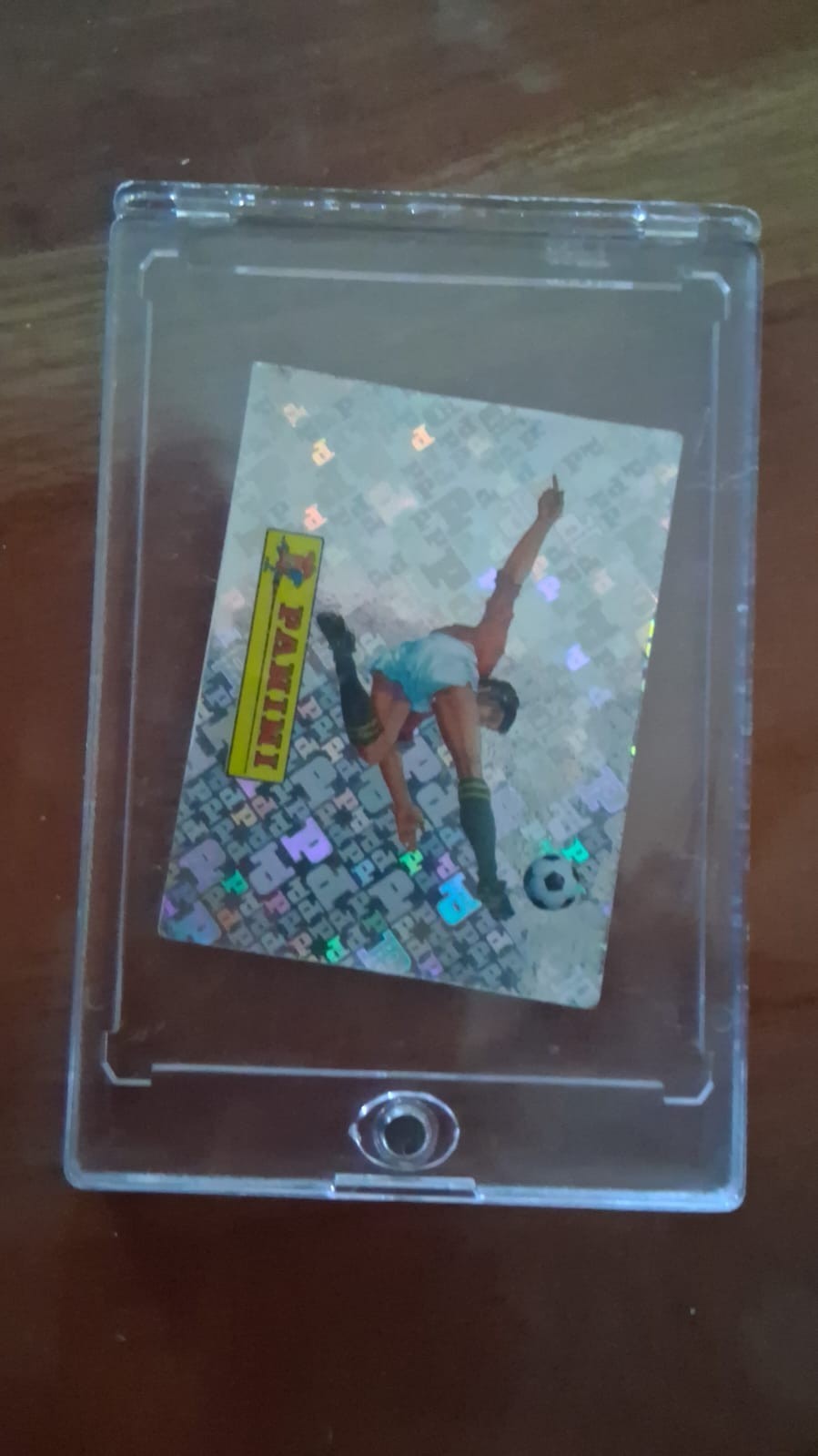 panini logo 00 panini fifa world cup 2026