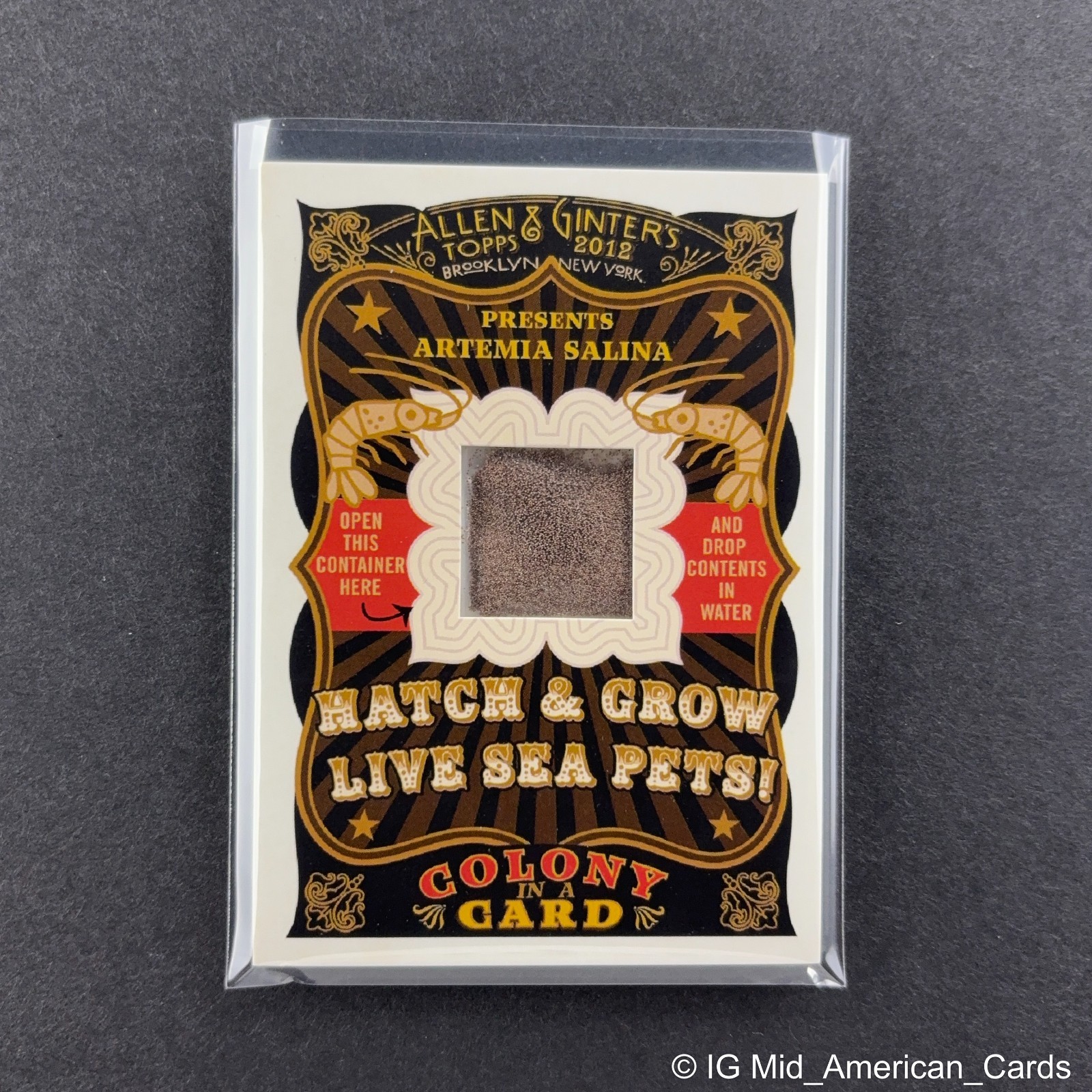 2012 Topps Allen & Ginter Colony In A Card ARTEMIA SALINA #AS Sea-Monkeys Rare