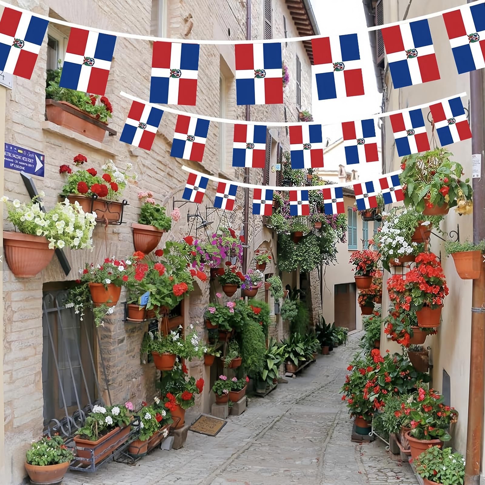 AhfuLife 30 Pcs Dominican String Flags for 5.51×8.26 in-30 Pcs,