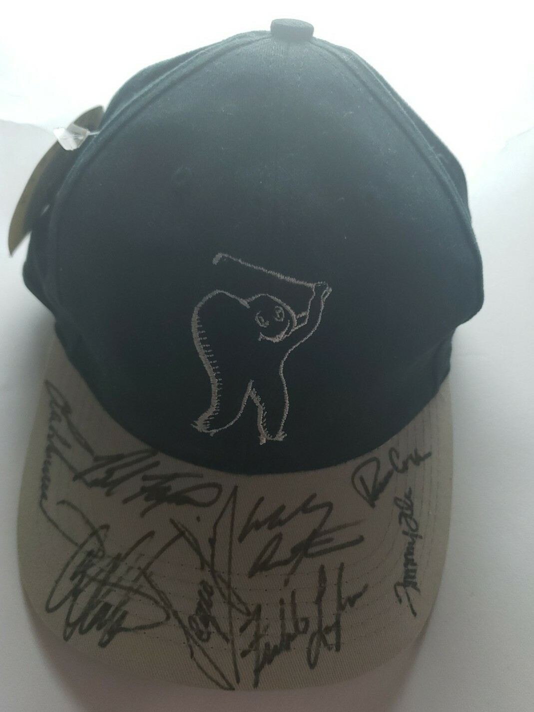 Autographed Golf Hat “By Multiple Golf Players”