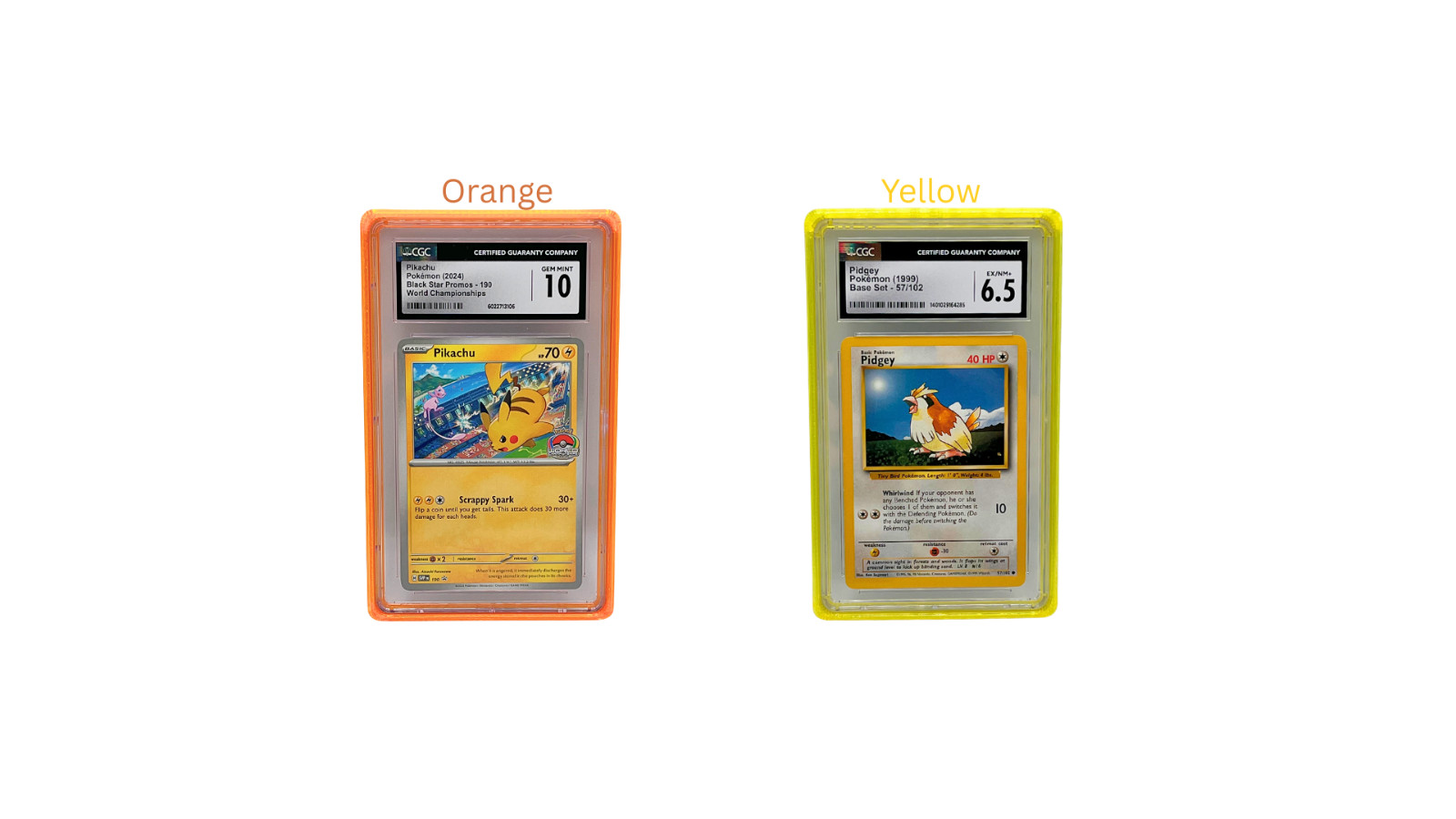 CGC Slab Guard