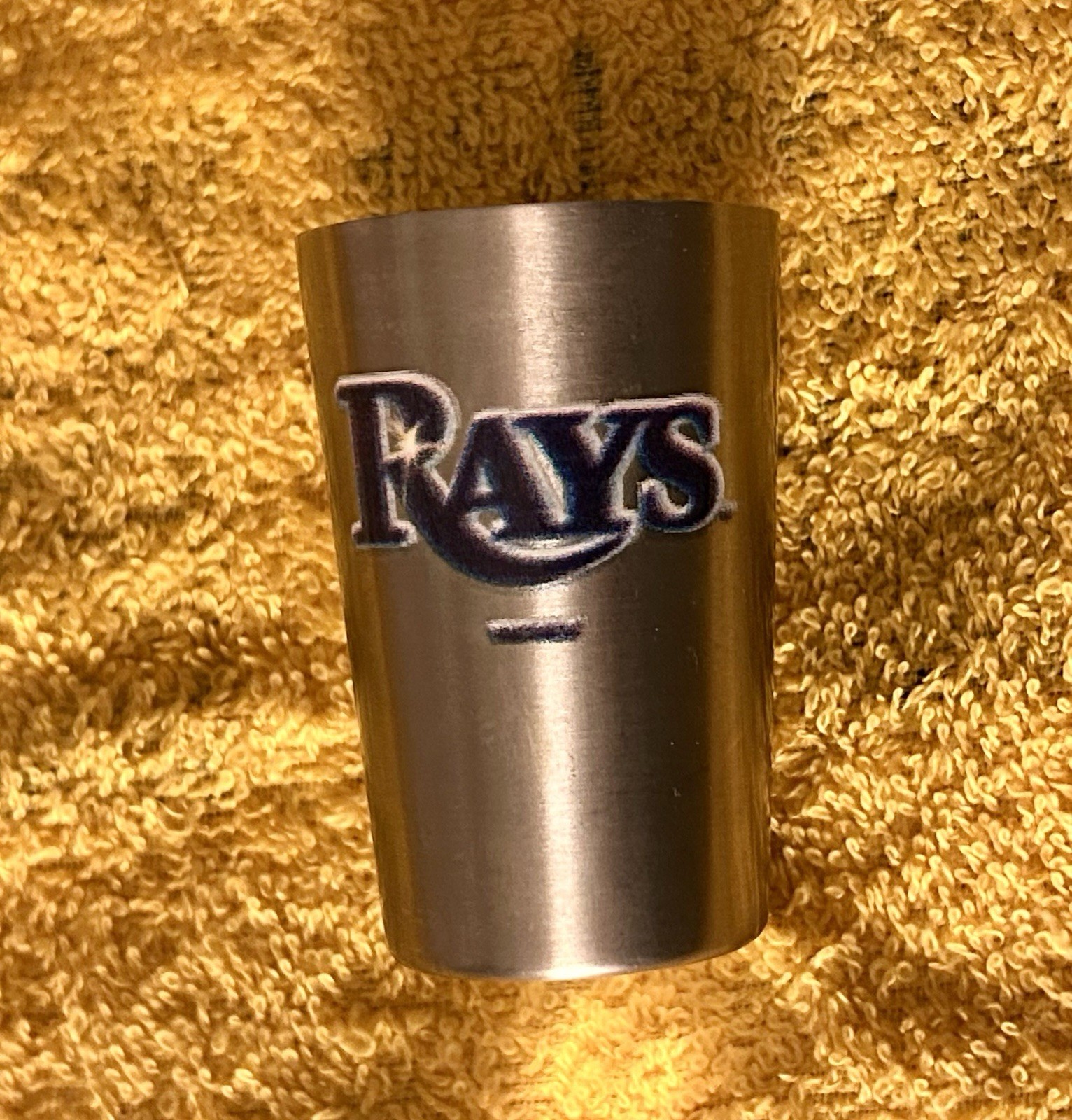 Tampa Bay Rays 2oz Stainless Steel Glass New With Tags