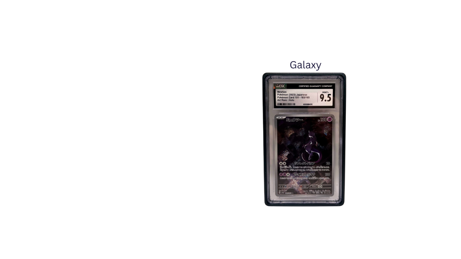 CGC Slab Guard
