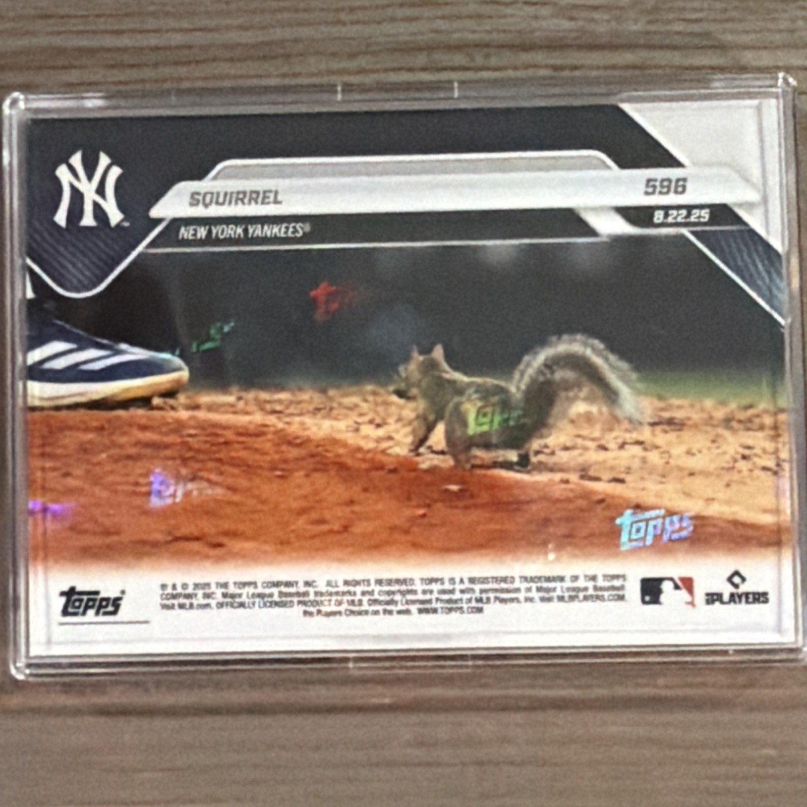2025 Topps Now Squirrel #596 It’s Nuts Furry Friend Takes Mound Yankee Stadium