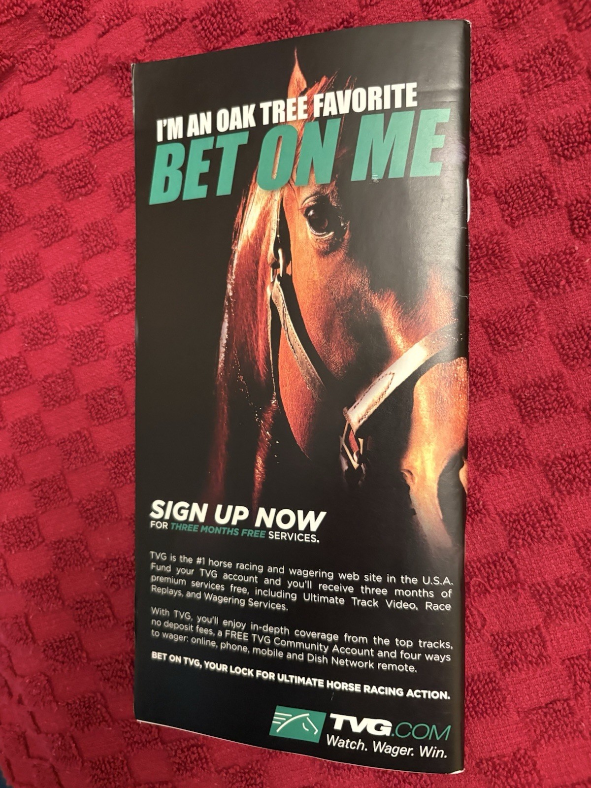 2010 LADY’S SECRET STAKES PROGRAM—ZENYATTA (HOF)—GEM MINT—VERY HARD TO FIND