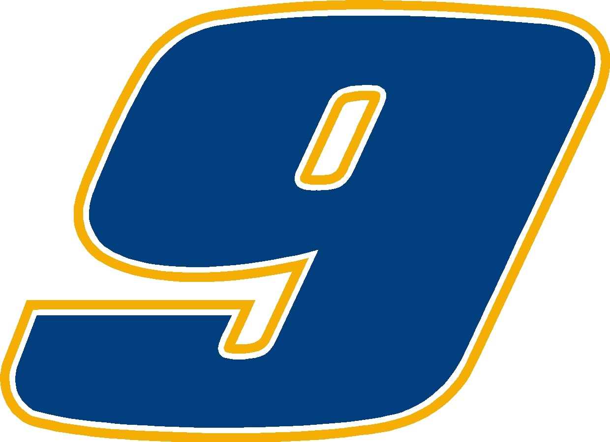 NEW FOR 2020 #9 Chase Elliot Racing Sticker Decal SM-XL various colors