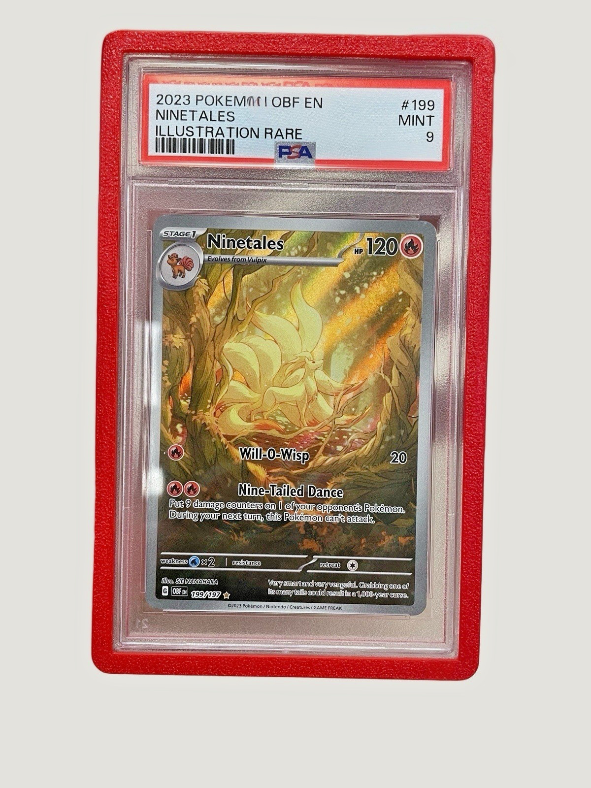 PSA Slab Bumper Guard – Graded Card Protector Case (Pack Of 2) – Plastic