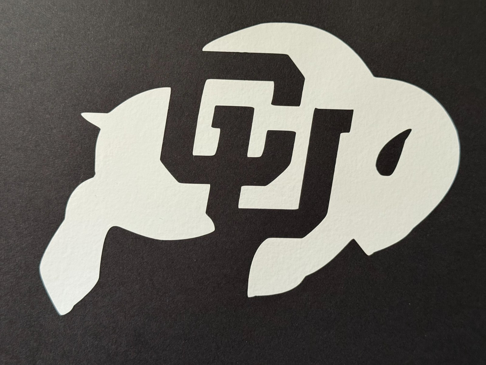 NCAA COLORADO BUFFALOES VINYL STICKER DECAL