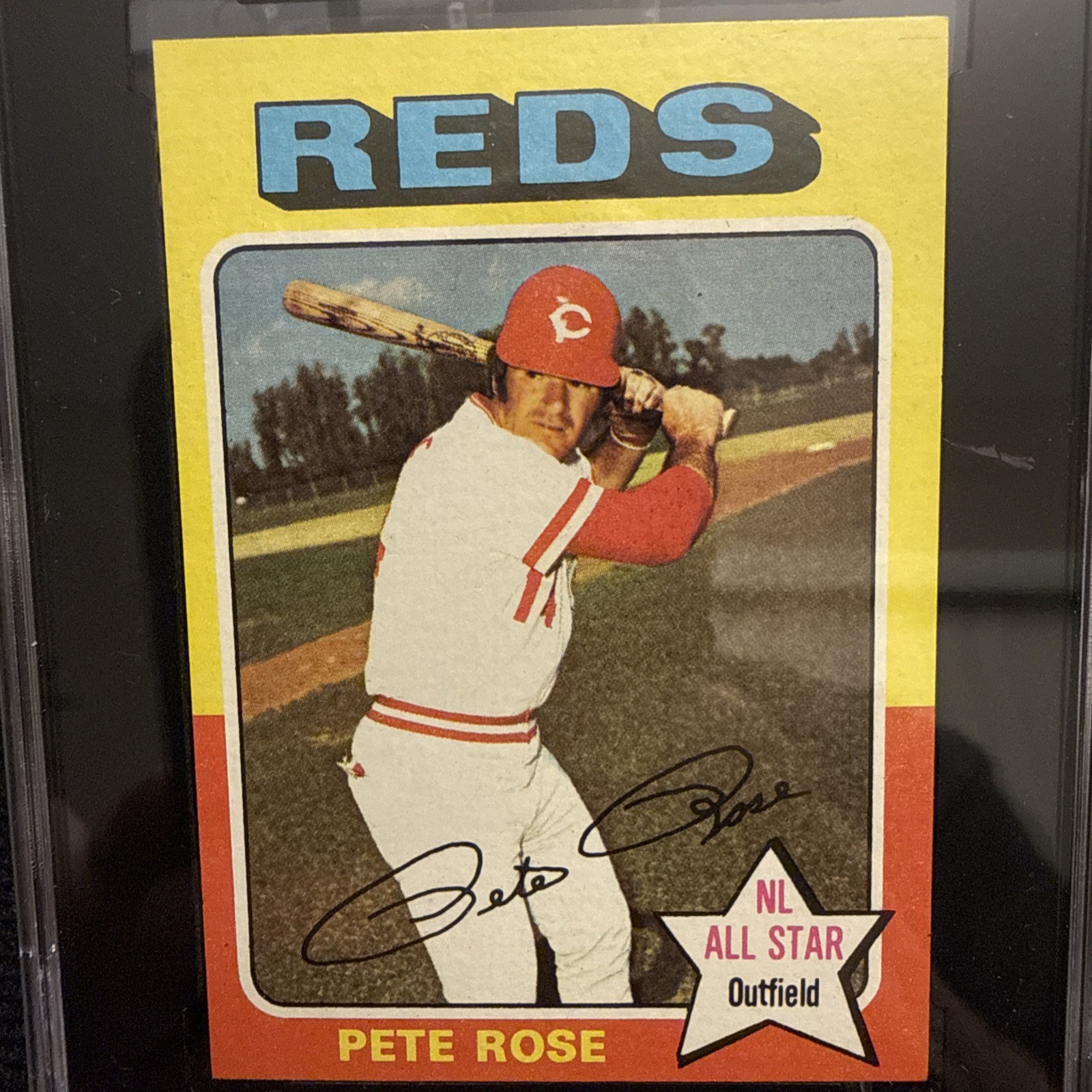 Topps 1975 Topps MINI PETE ROSE #320 Cincinnati Reds HOF SGC 86 NM+ 7.5! Beauty!