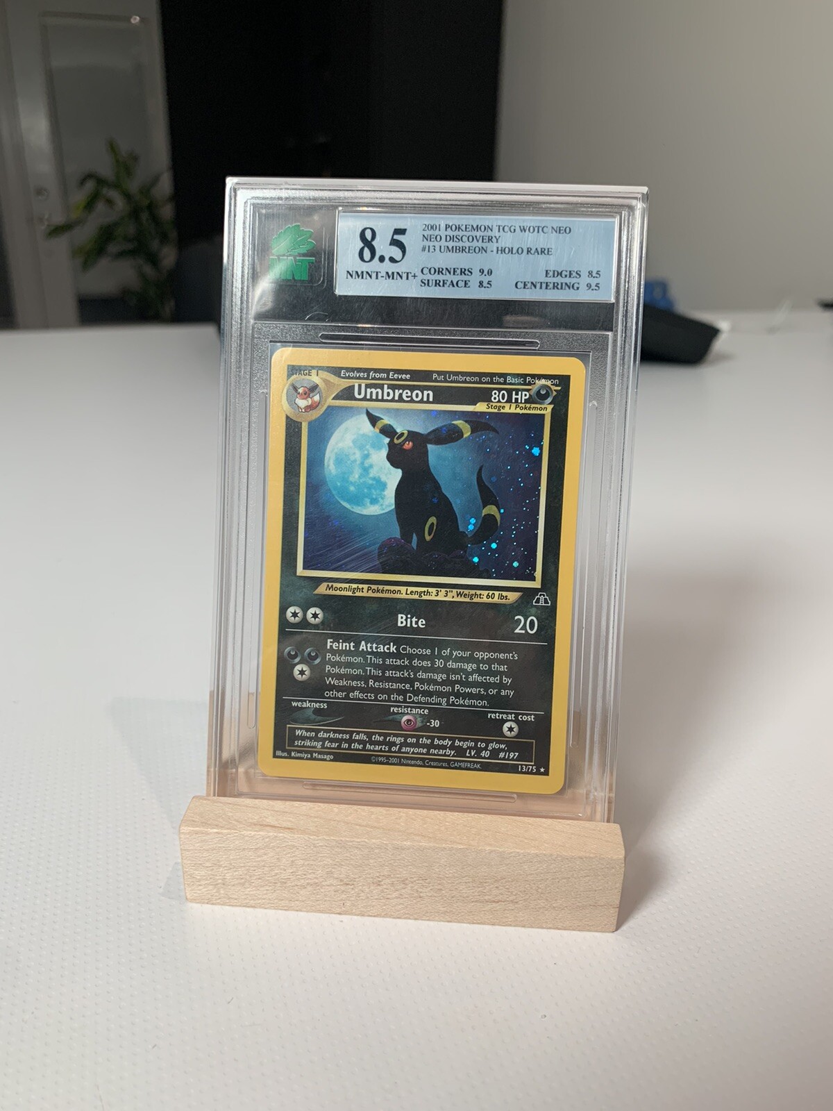 (x2 Units) Graded Card Slab Holder | PSA/MNT/CGC Compatible