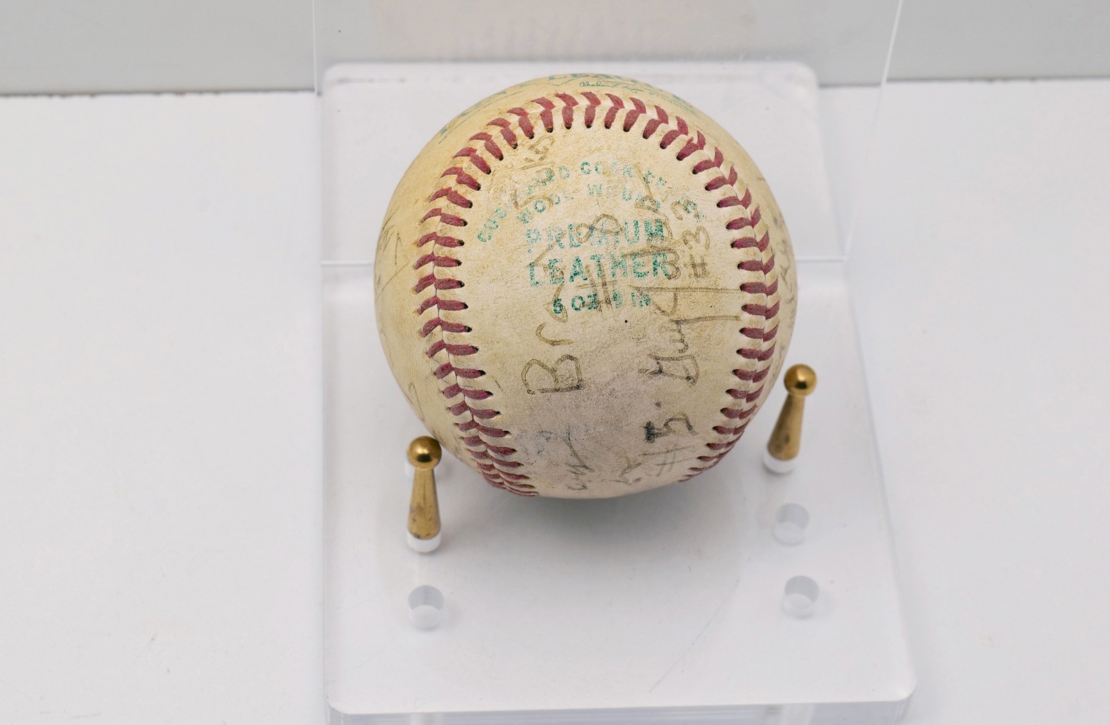 Diamond Pony League Baseball Team-Signed w/ Multiple Autographs No Stand