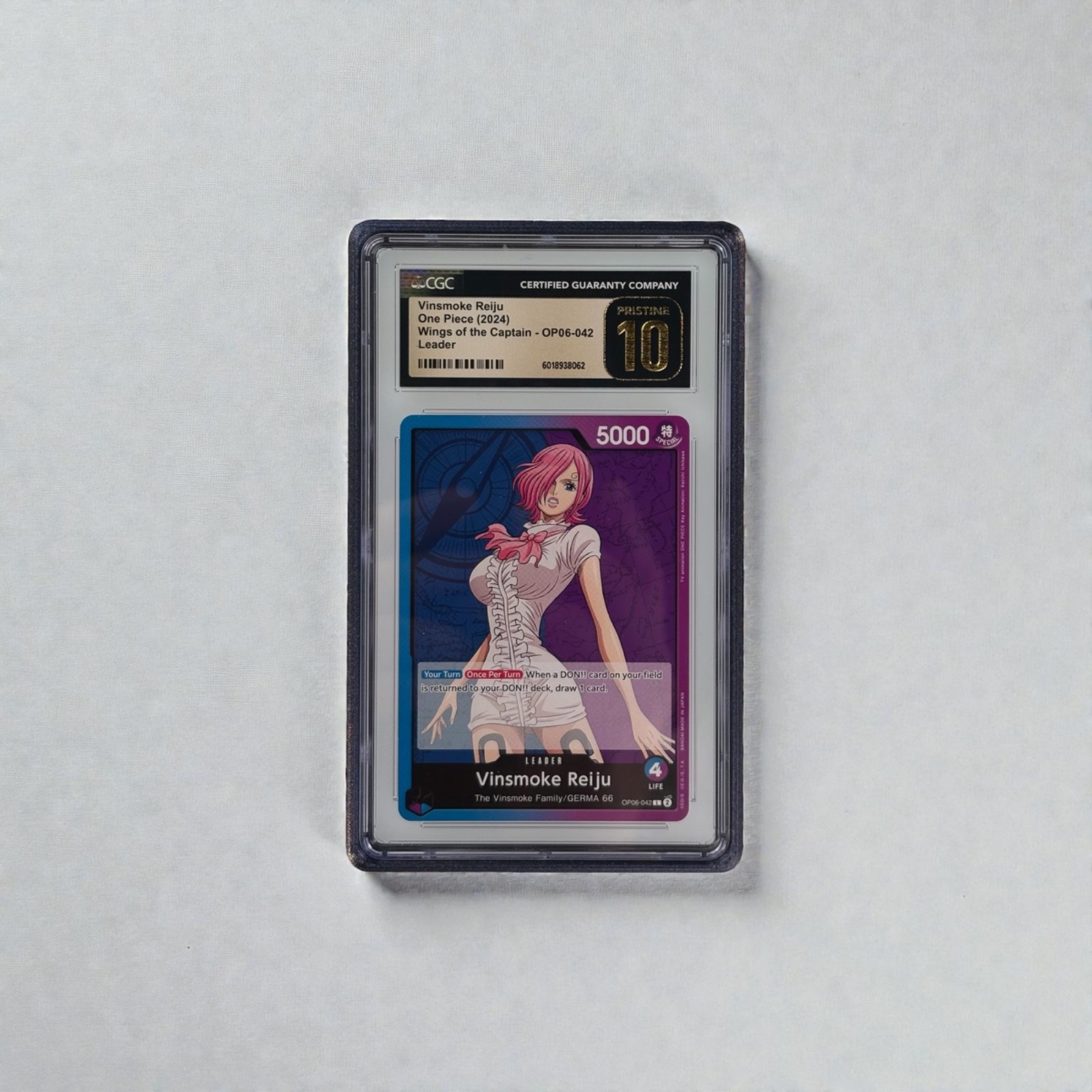 CGC Slab Guard