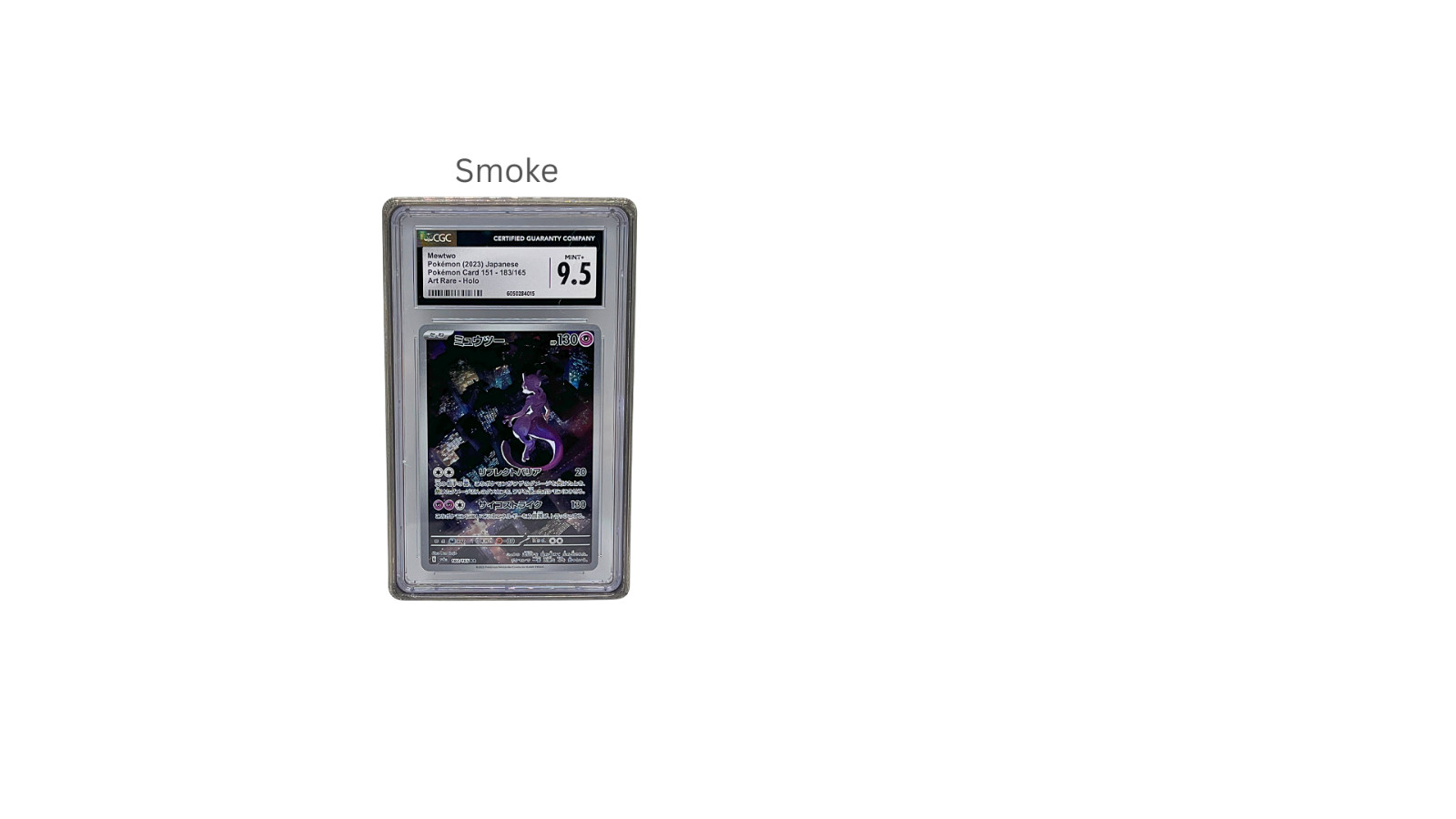 CGC Slab Guard