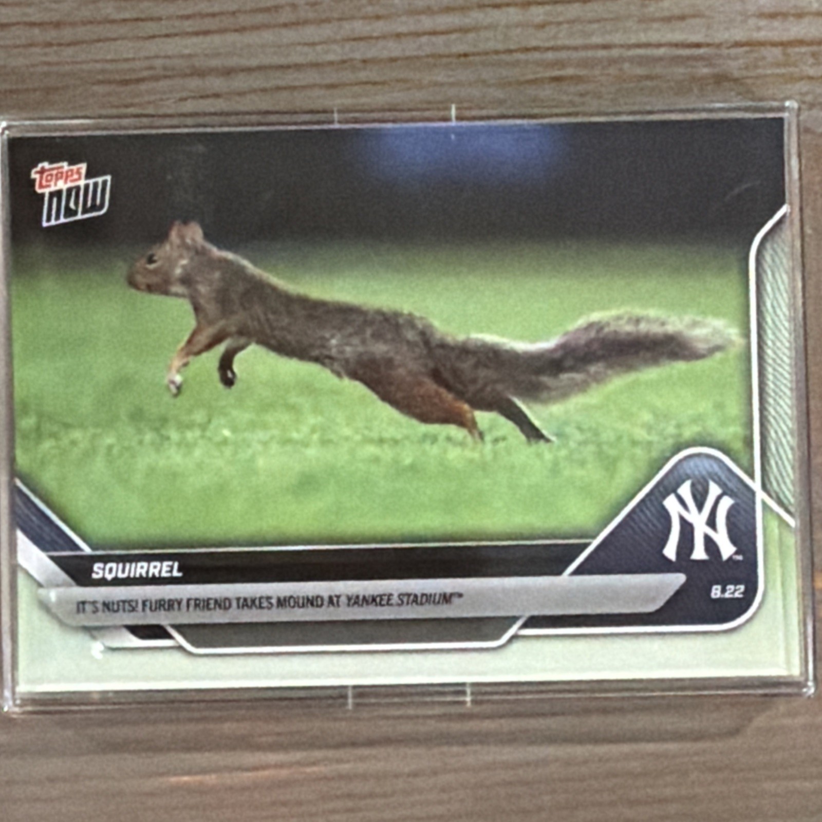 2025 Topps Now Squirrel #596 It’s Nuts Furry Friend Takes Mound Yankee Stadium