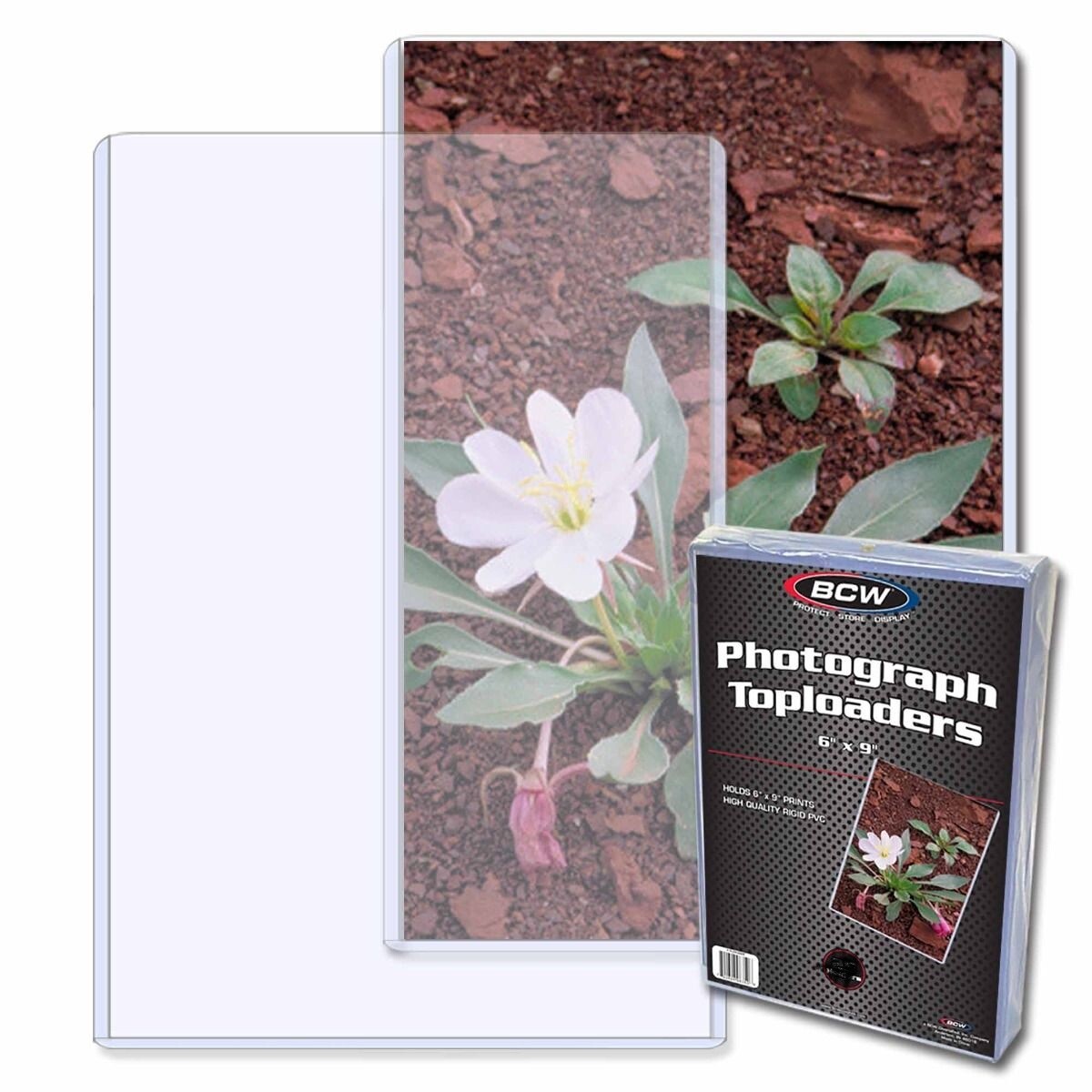 New (3 PK) BCW 6 x 9 Hard Plastic Rigid Topload Photo Holders 6 x 9 toploaders