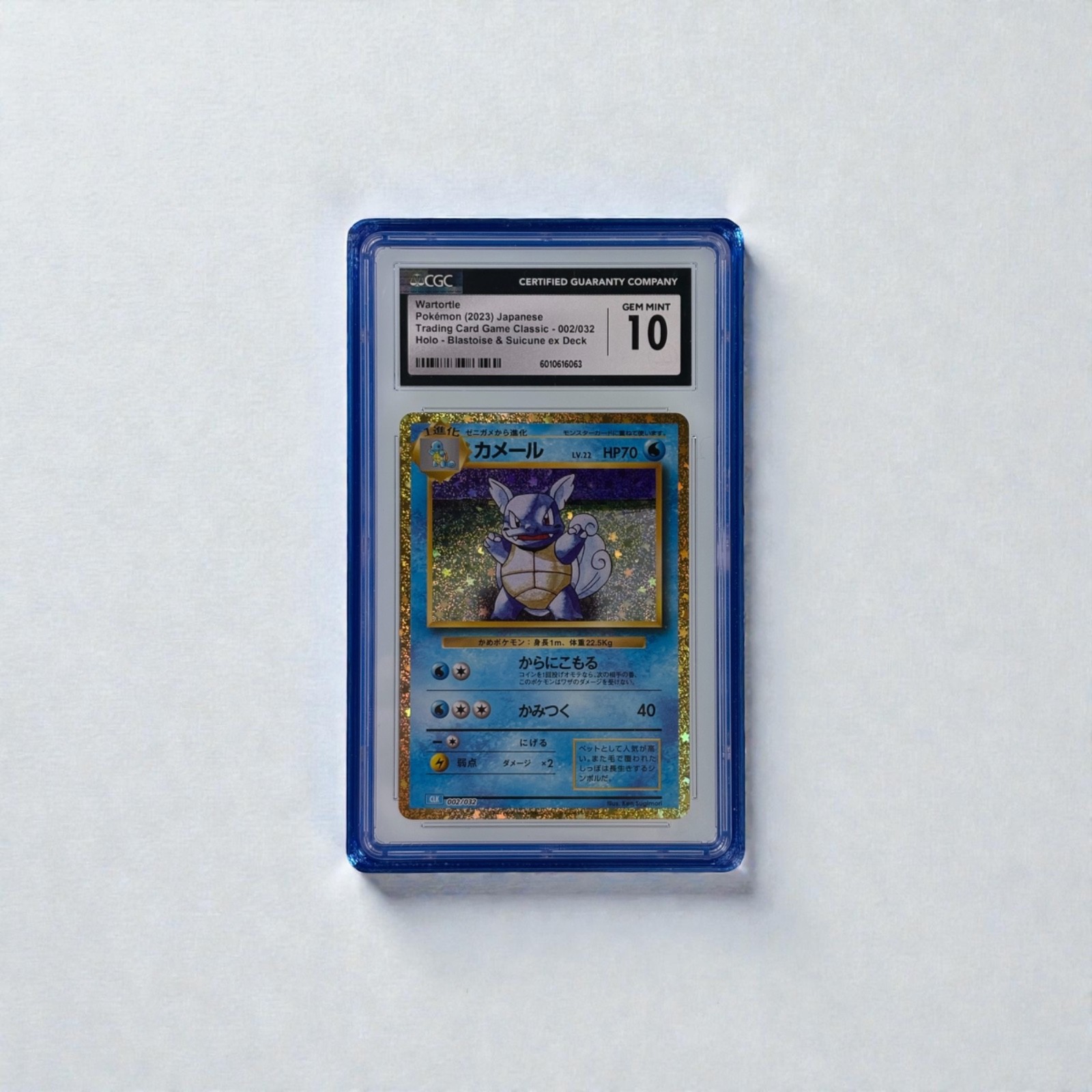 CGC Slab Guard