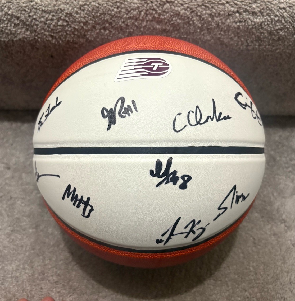 2026 TORONTO TEMPO TEAM SIGNED LOGO WHITE PANEL BASKETBALL COA MABREY RICE SYKES