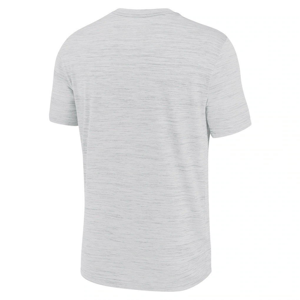 New S Tampa Bay Devil Rays Nike Authentic Collection Performance Tshirt – Ashe
