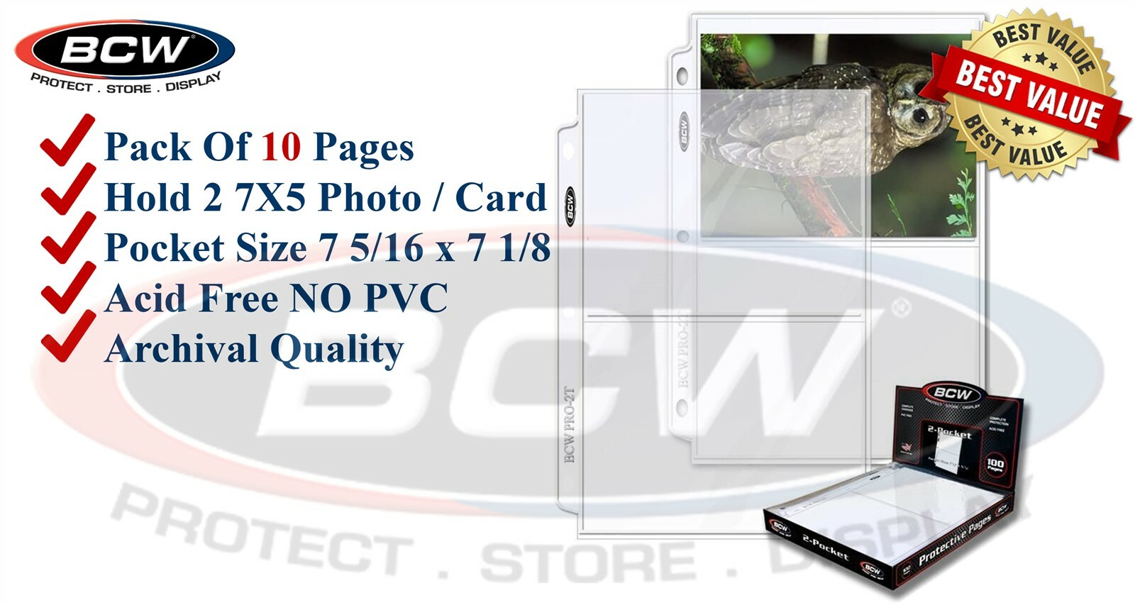 10 BCW 2 Pocket Pages For 5×7 Photos / Cards / Currency Note Archival Safe Sheet