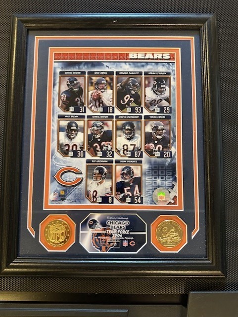 Chicago Bears 2006 NFC North Division Champs Plaque Wall Hanging Official NFL