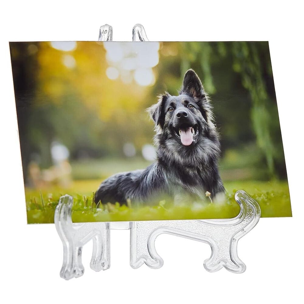 25/50 Pack 3-inch Mini Easel Display Stand for Sports Trading and Baseball Cards