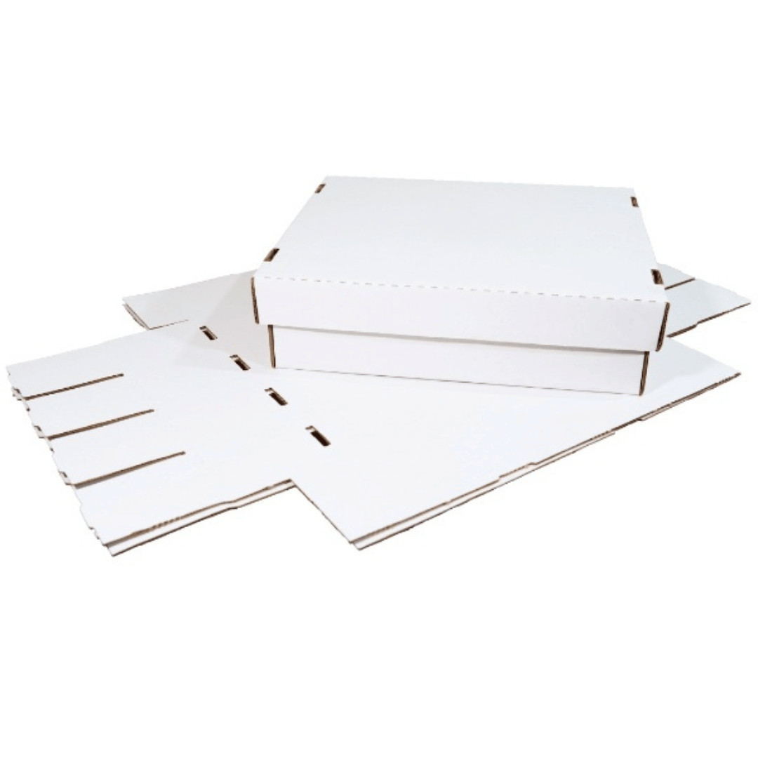 2-Pack • 3200-count • Trading Card Storage Box • Woodhaven Trading Firm