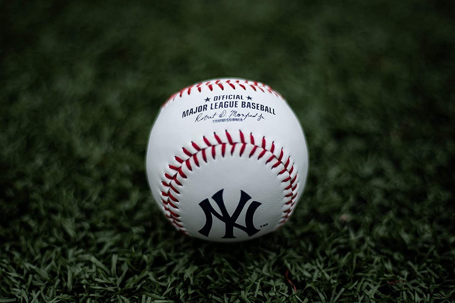 2026 MLB Baseball with Team Logo | All 30 MLB Teams Available