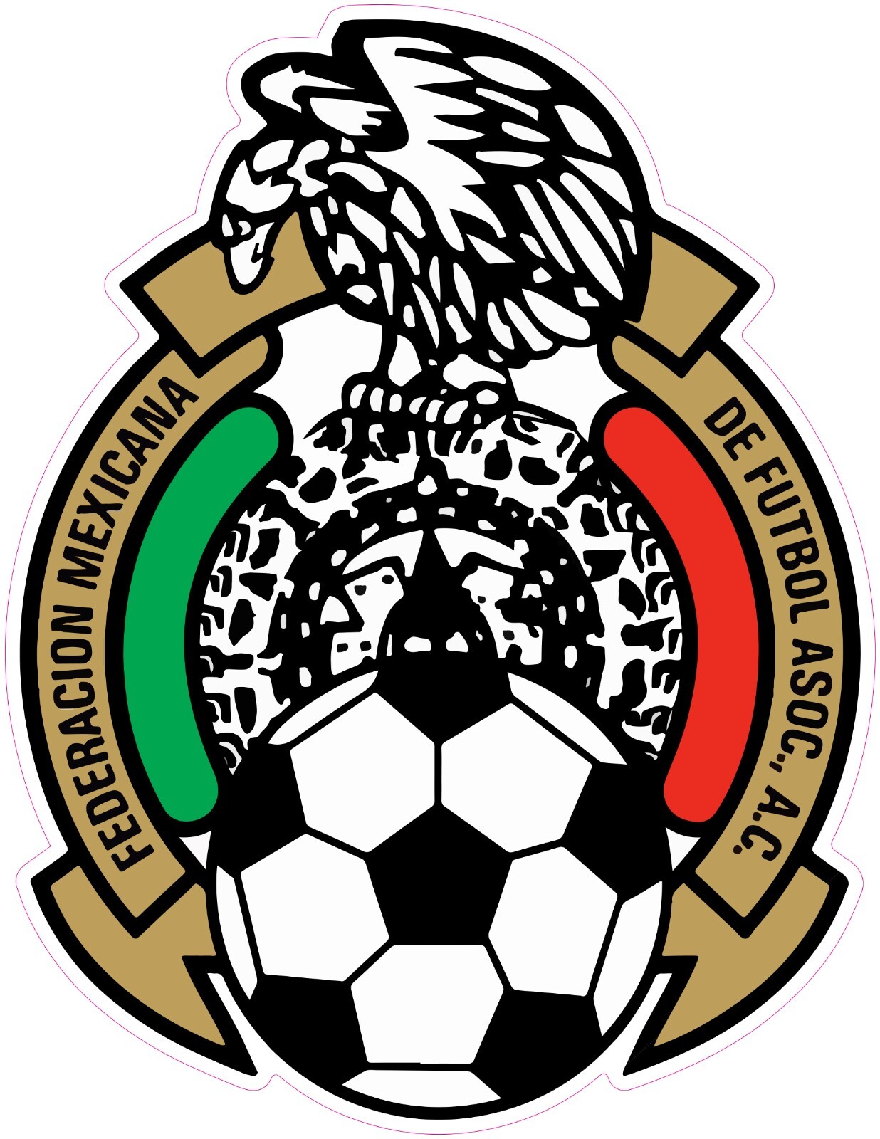 (NOT A PATCH) Mexico National Soccer Team Logo HTV Heat Transfer Vinyl Iron On