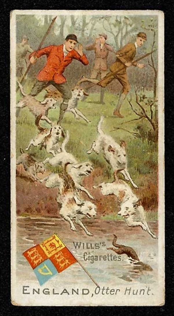 1900 ENGLAND, OTTER HUNT Wills Sports Of All Nations GOLD FLAKE #20