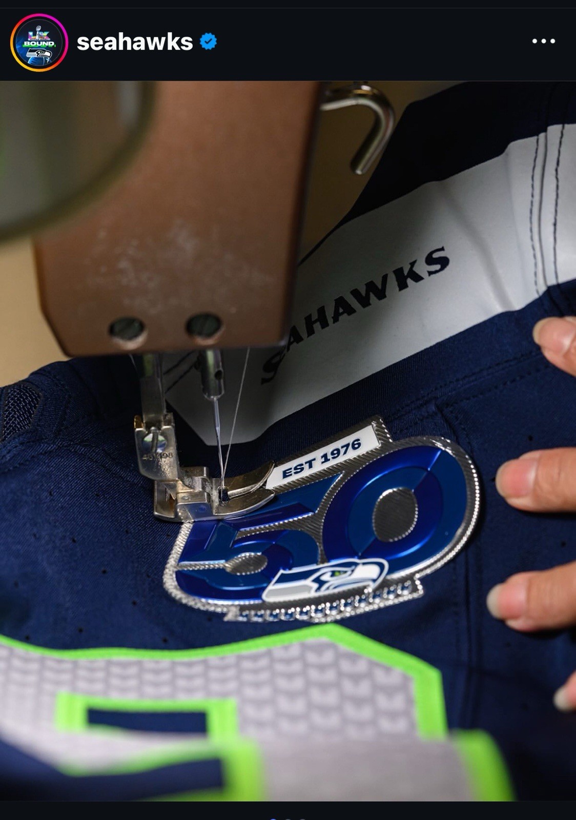 Seahawks 50th Anniversary Patch Plastic Metallic Sew On Patch (non Damaged)