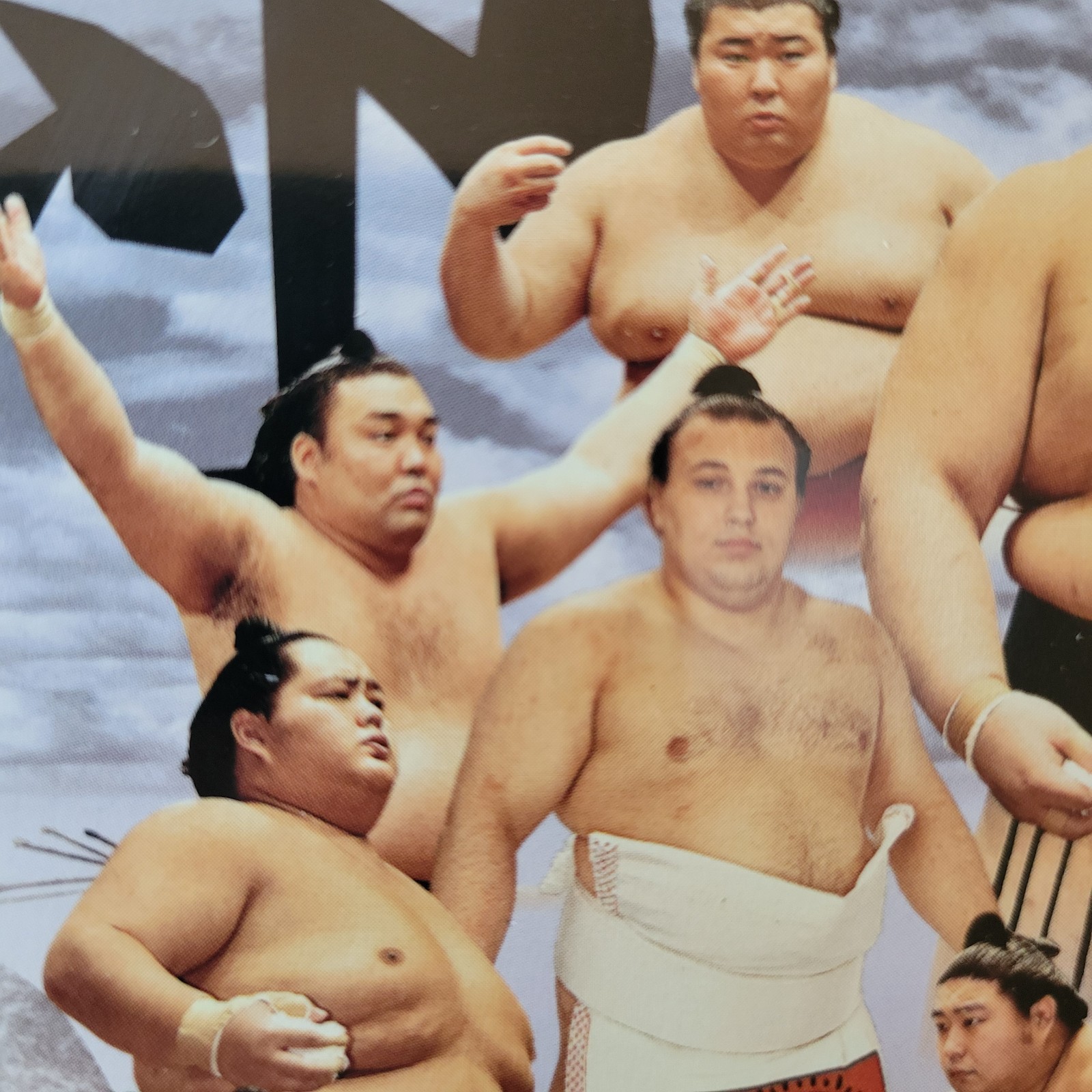 BBM 2026 Sumo Cards SATO W/shrink Sealed Box Japanese Wrestling Trading Cards