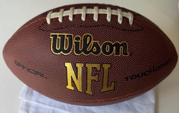 Wilson NFL Full Size Bronze Series Autograph or Play Football WTF1695
