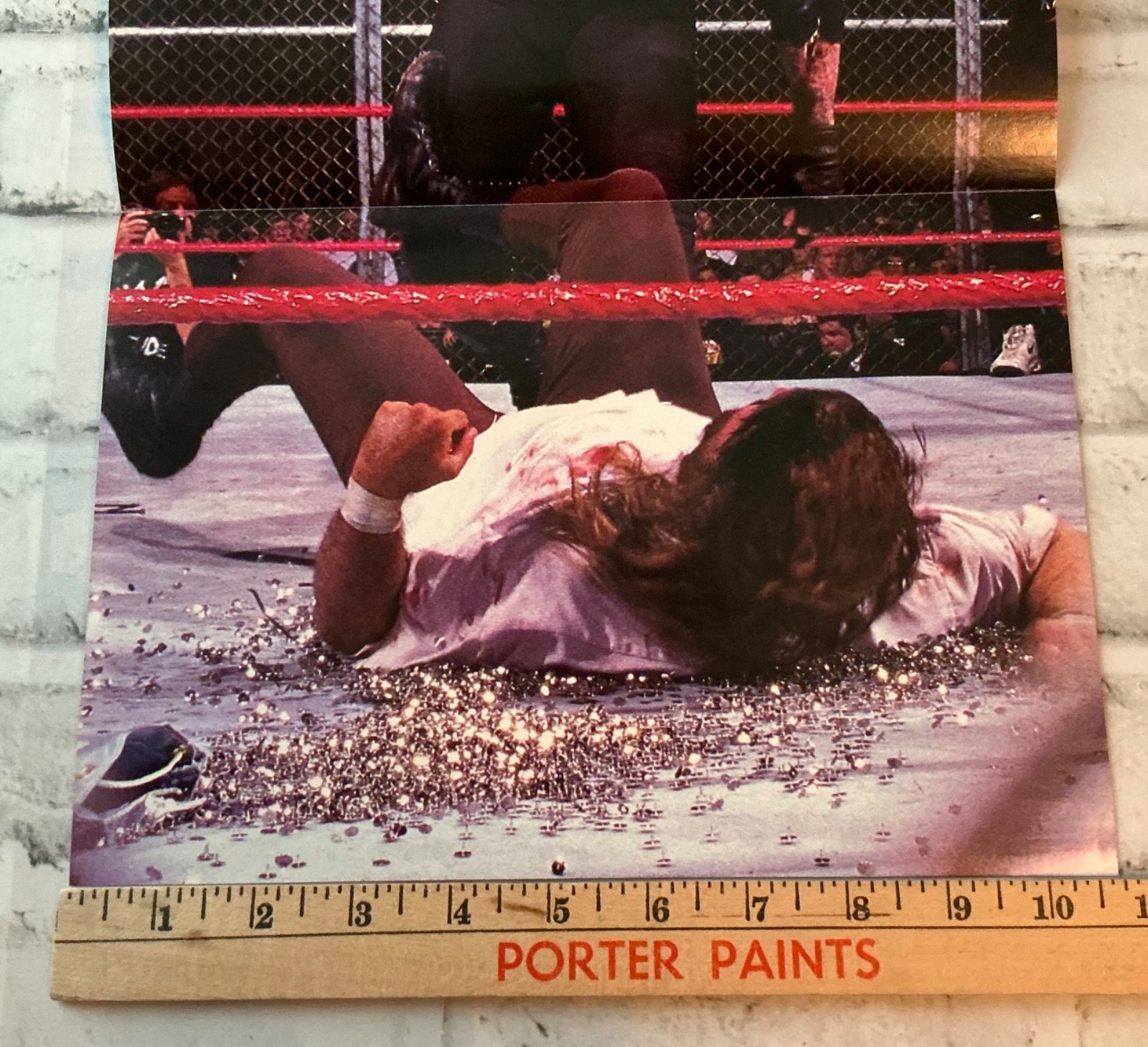Mick Foley Undertaker Hell In A Cell Thumbtacks 10.5” x 23” Poster Authentic