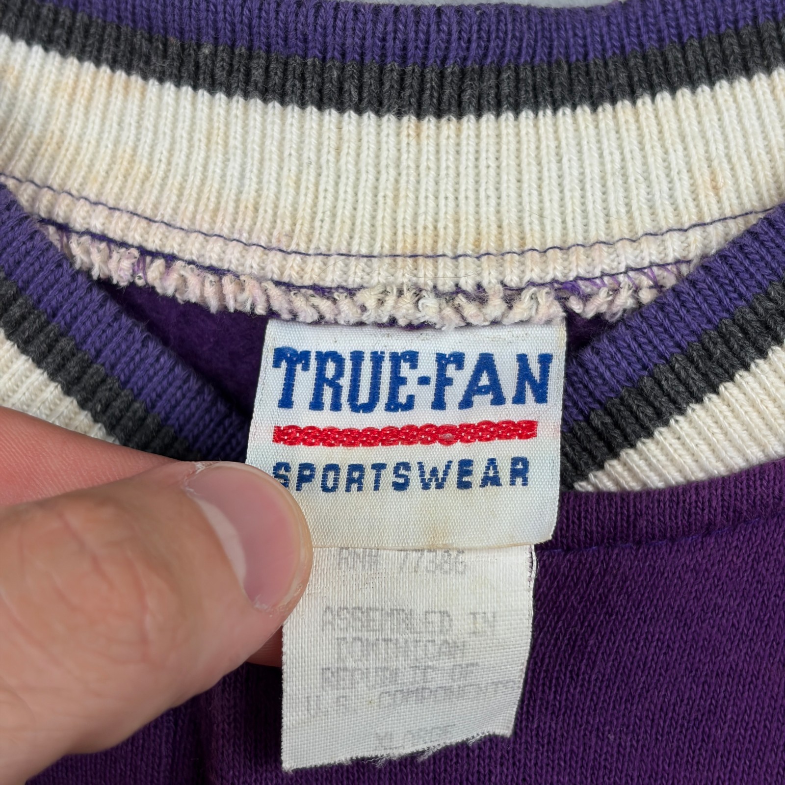 Vintage Tampa Bay Devil Rays Sweatshirt Mens XL Purple Henley Pullover 90s MLB